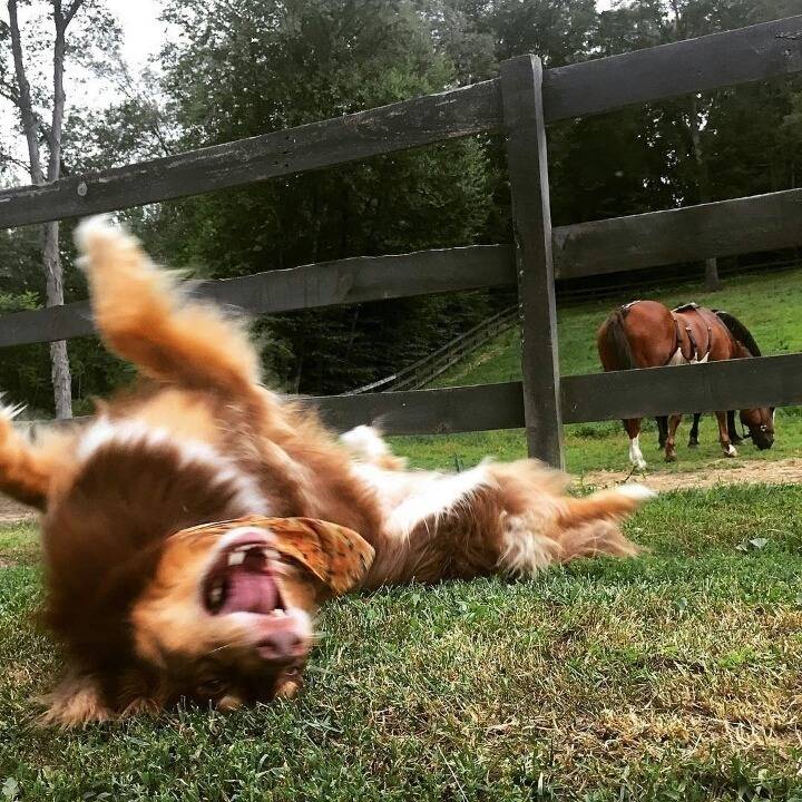 아만다 사이프리드의 일상사진 | 인스티즈