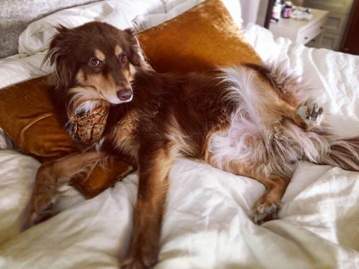 아만다 사이프리드의 일상사진 | 인스티즈