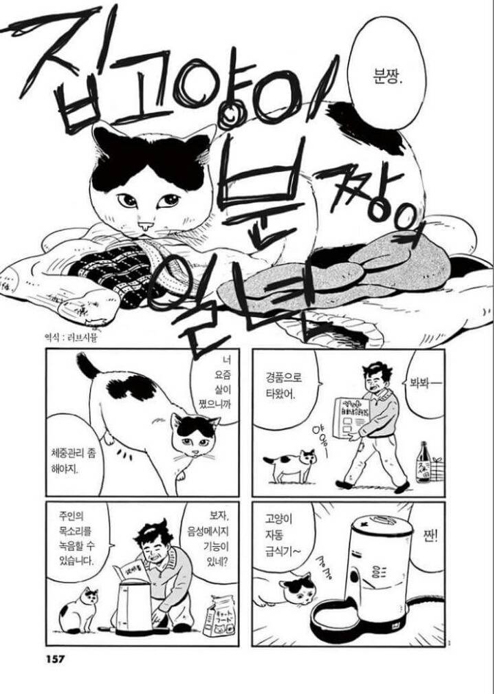 고양이 분짱(슬픔주의) | 인스티즈