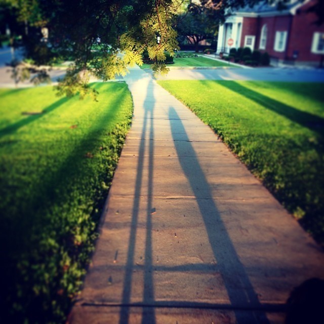 아만다 사이프리드의 일상사진 | 인스티즈