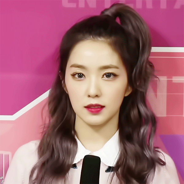 활동별로 보는 레드벨벳 아이린.jpgif | 인스티즈