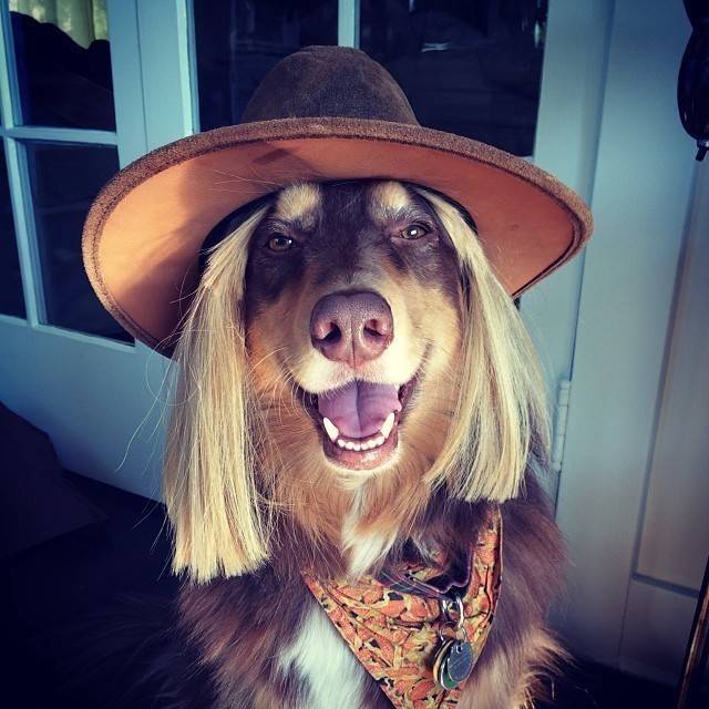 아만다 사이프리드의 일상사진 | 인스티즈