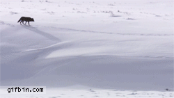 바람 피우다 걸림.gif | 인스티즈