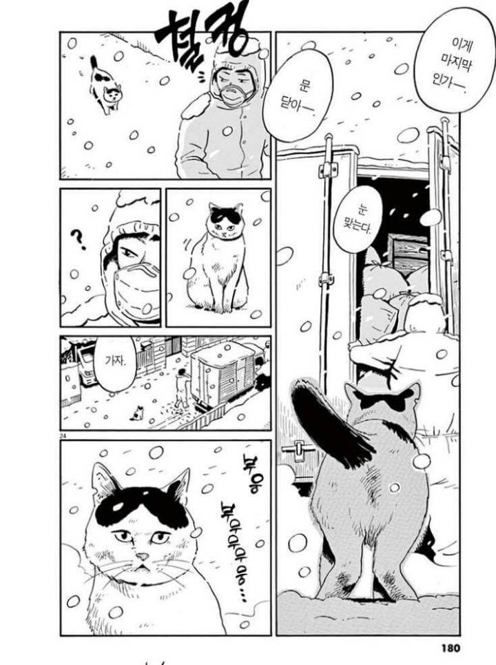 고양이 분짱(슬픔주의) | 인스티즈