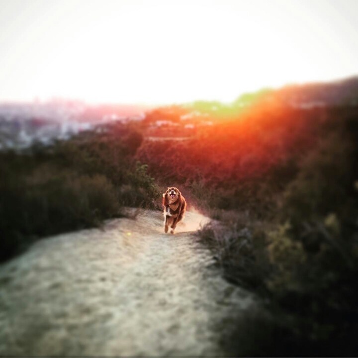 아만다 사이프리드의 일상사진 | 인스티즈