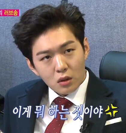 노견키우는 사람들이 은근 자주 듣는 말 | 인스티즈