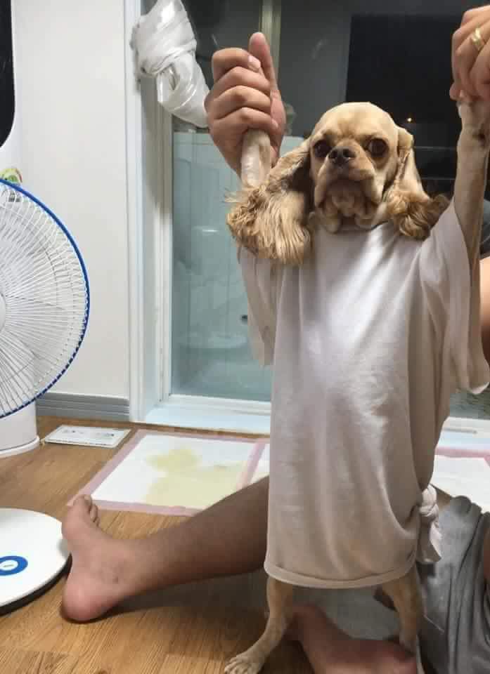 [만화] 엄마가 아끼는 조각상이 박살나는 만화 | 인스티즈