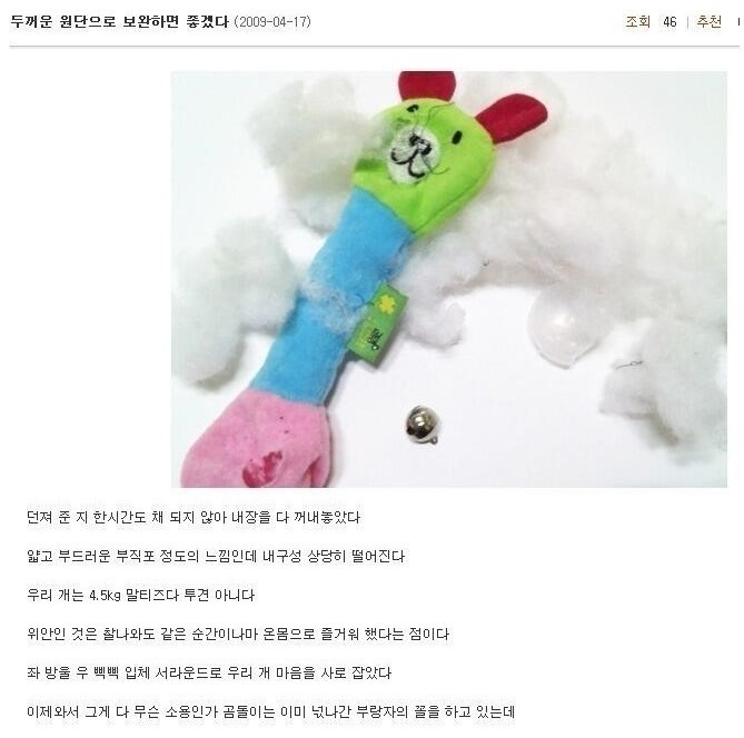 아무생각없이 들어왔는데 뻘하게 터지는 짤들 | 인스티즈
