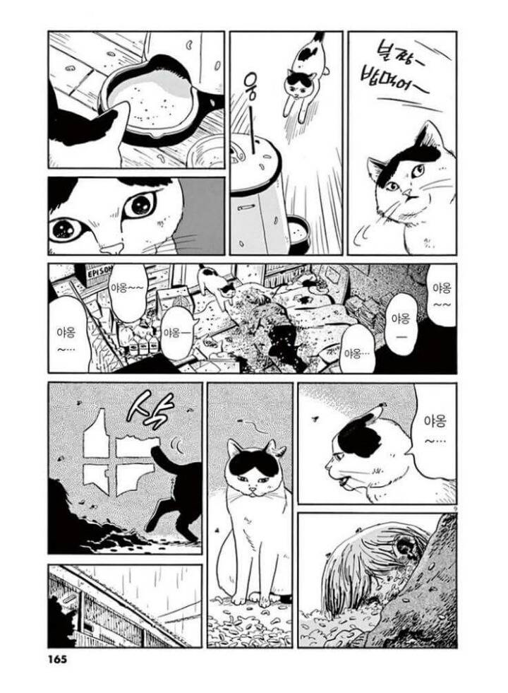 고양이 분짱(슬픔주의) | 인스티즈