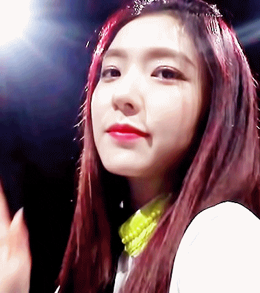 활동별로 보는 레드벨벳 아이린.jpgif | 인스티즈