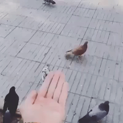 아무생각없이 들어왔는데 뻘하게 터지는 짤들 | 인스티즈