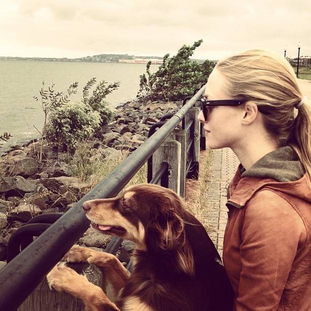 아만다 사이프리드의 일상사진 | 인스티즈