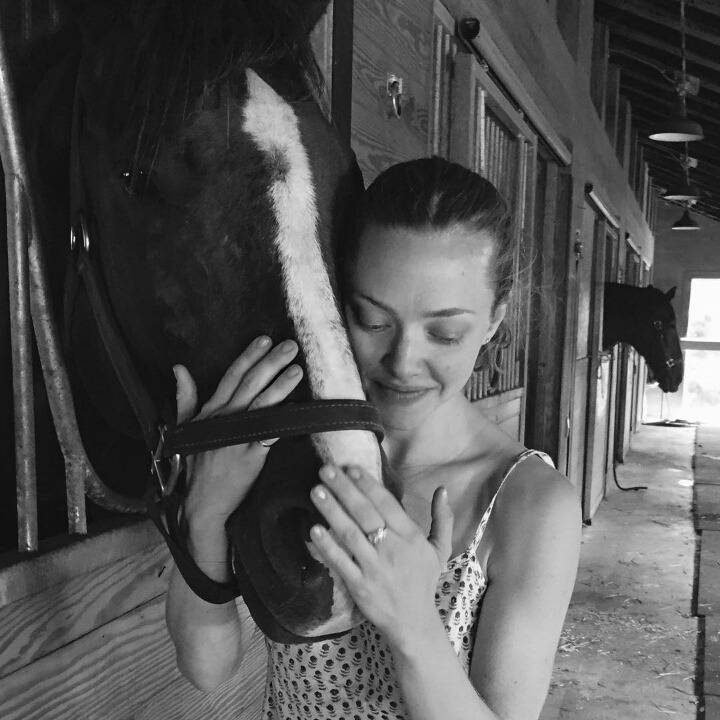 아만다 사이프리드의 일상사진 | 인스티즈