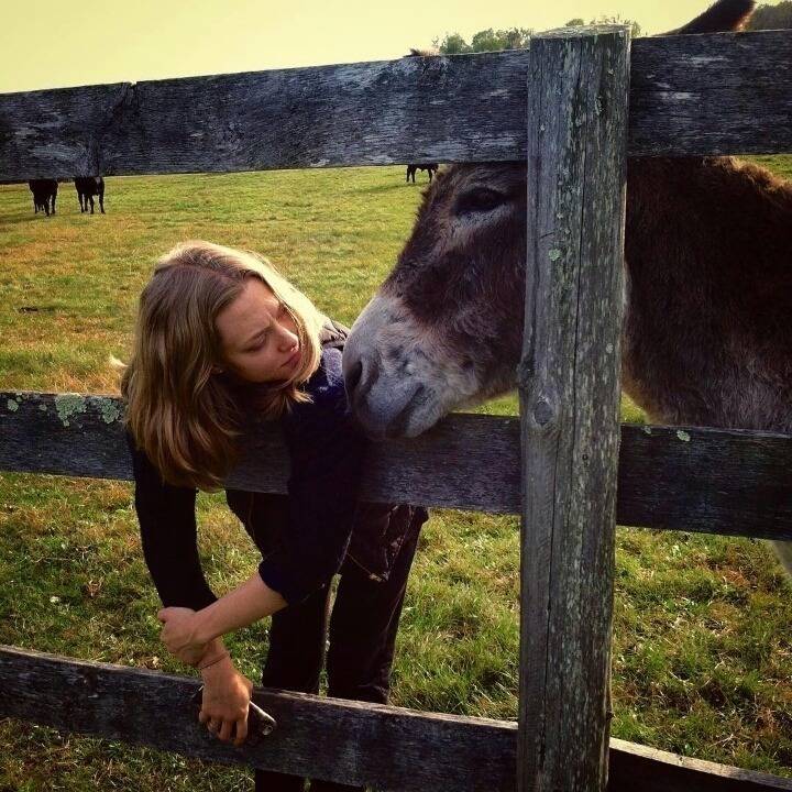 아만다 사이프리드의 일상사진 | 인스티즈