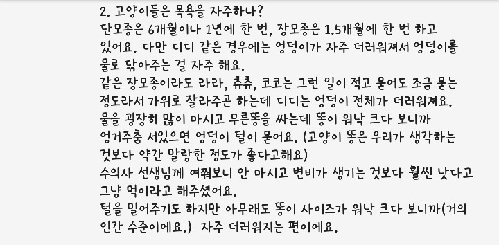 크림히어로즈 루루 총 정리 | 인스티즈