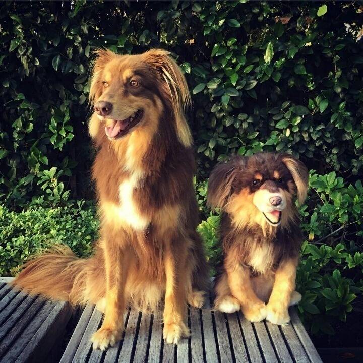 아만다 사이프리드의 일상사진 | 인스티즈