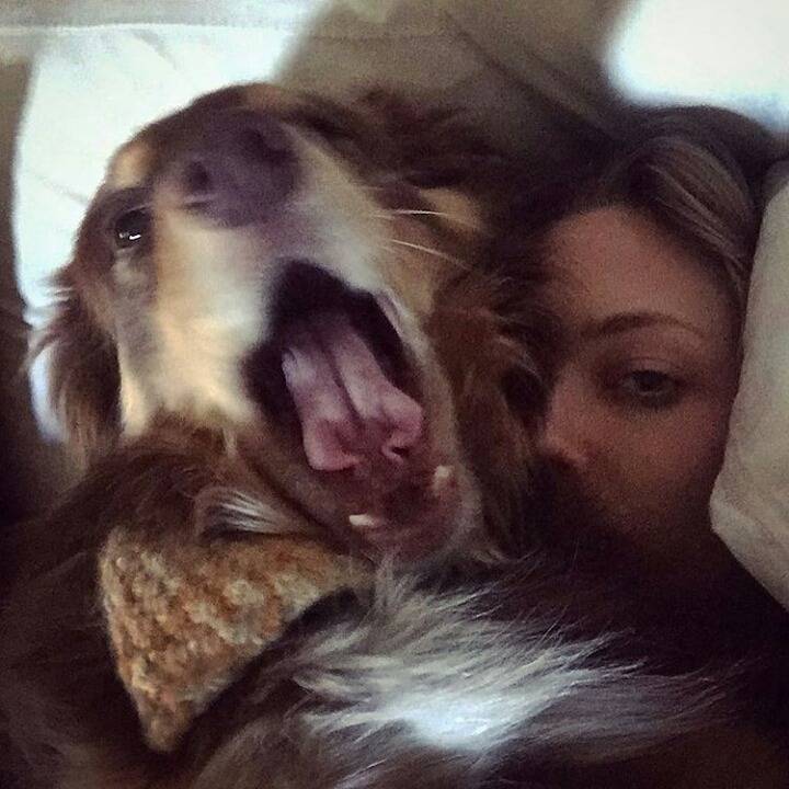 아만다 사이프리드의 일상사진 | 인스티즈