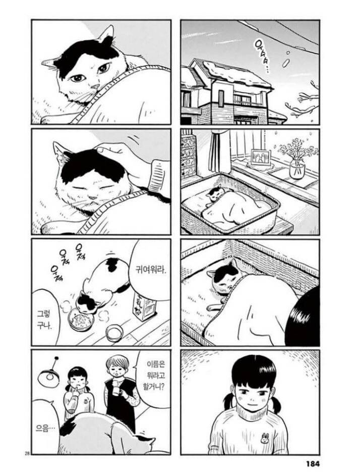 고양이 분짱(슬픔주의) | 인스티즈