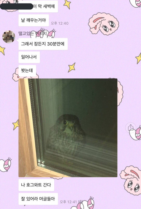 나 호그와트 간다. 잘있어라 머글들아 | 인스티즈