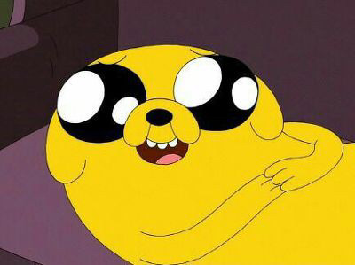 노견키우는 사람들이 은근 자주 듣는 말 | 인스티즈