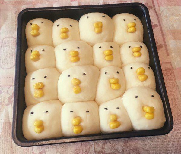 아무생각없이 들어왔는데 뻘하게 터지는 짤들 | 인스티즈