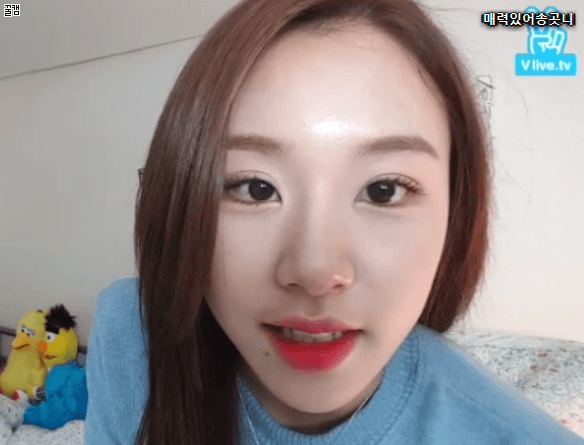 채영이 아기자기한 그림 실력.jpg | 인스티즈