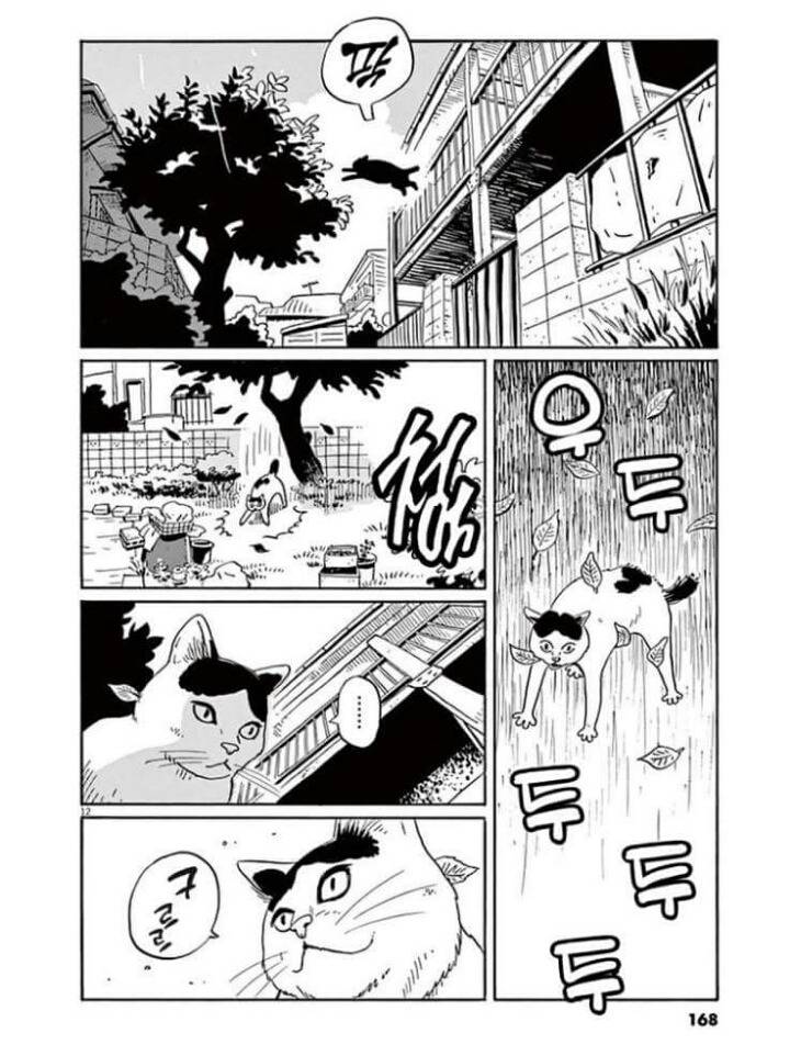 고양이 분짱(슬픔주의) | 인스티즈