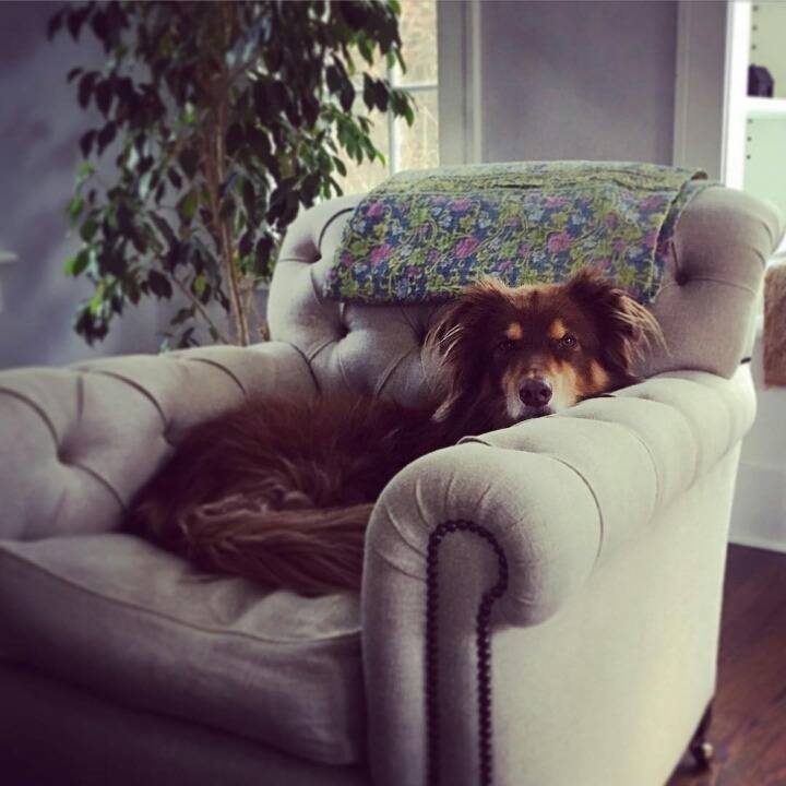 아만다 사이프리드의 일상사진 | 인스티즈