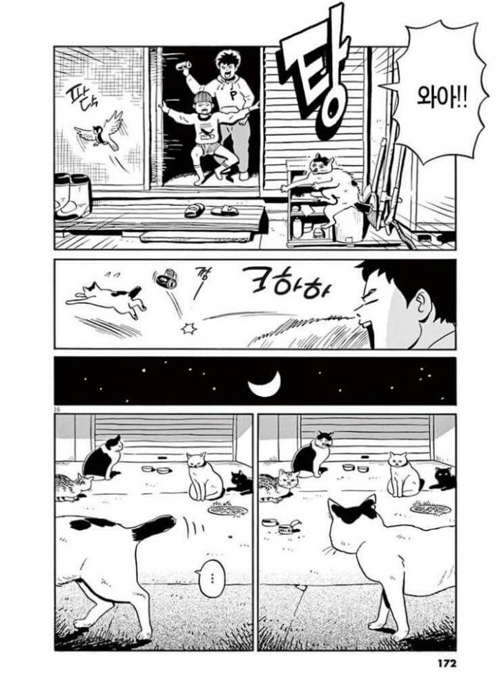 고양이 분짱(슬픔주의) | 인스티즈