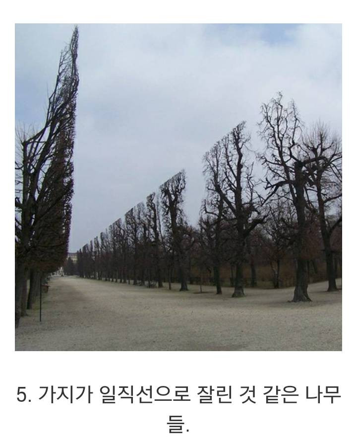 합성 같은 실제 사진 | 인스티즈