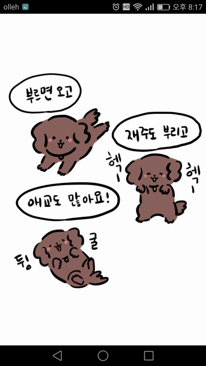개와 고양이의 차이 (강아지 vs 고양이) | 인스티즈