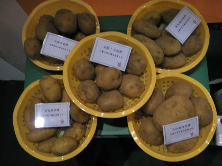 북한의 흔한 감자마을.jpg | 인스티즈