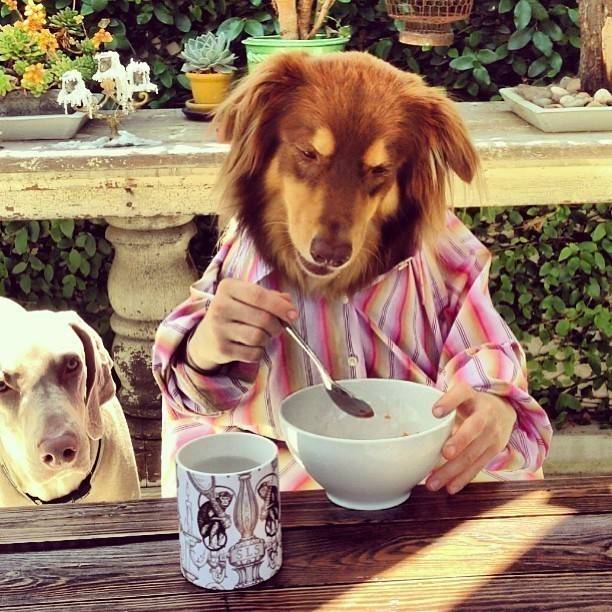 아만다 사이프리드의 일상사진 | 인스티즈