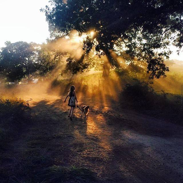 아만다 사이프리드의 일상사진 | 인스티즈