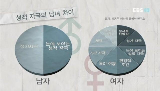 성적 자극의 남녀 차이 | 인스티즈
