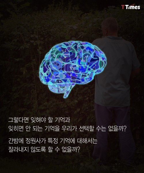 나쁜 기억들을 가지치기 하는 법 | 인스티즈