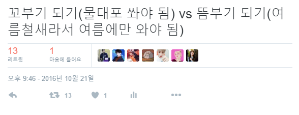 무근본 고르기 대결 | 인스티즈