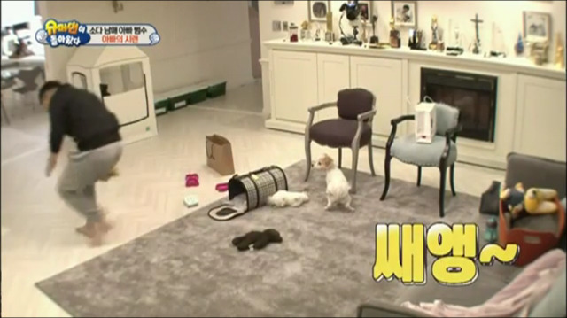 이범수가 동물을 대하는 방식.jpg | 인스티즈