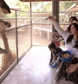 동물들이랑 교감하는 아이린.gif | 인스티즈