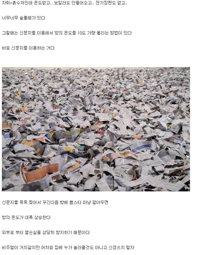 흙수저갤 가난그릴스의 생존법.JPG | 인스티즈