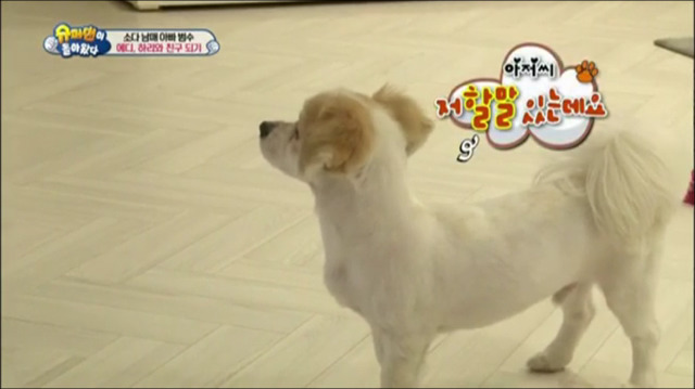 이범수가 동물을 대하는 방식.jpg | 인스티즈