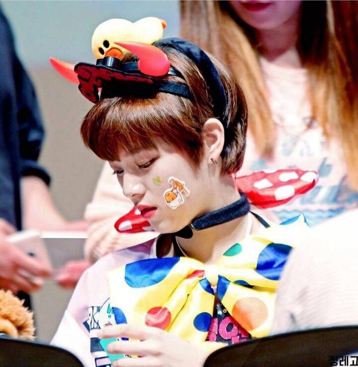 트와이스 실물갑 이라는 정연이 | 인스티즈