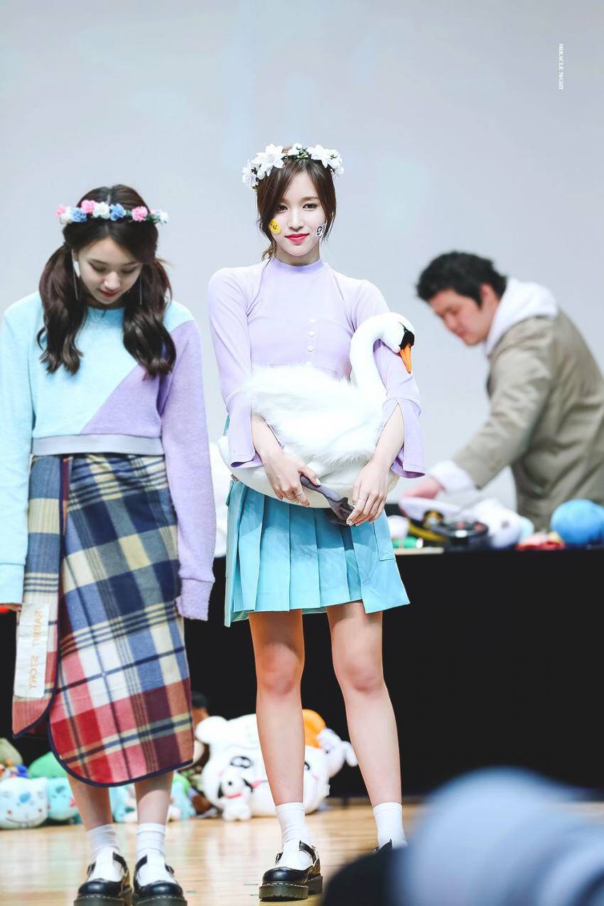 채영이랑 놀고싶은 소심이 펭귄 | 인스티즈