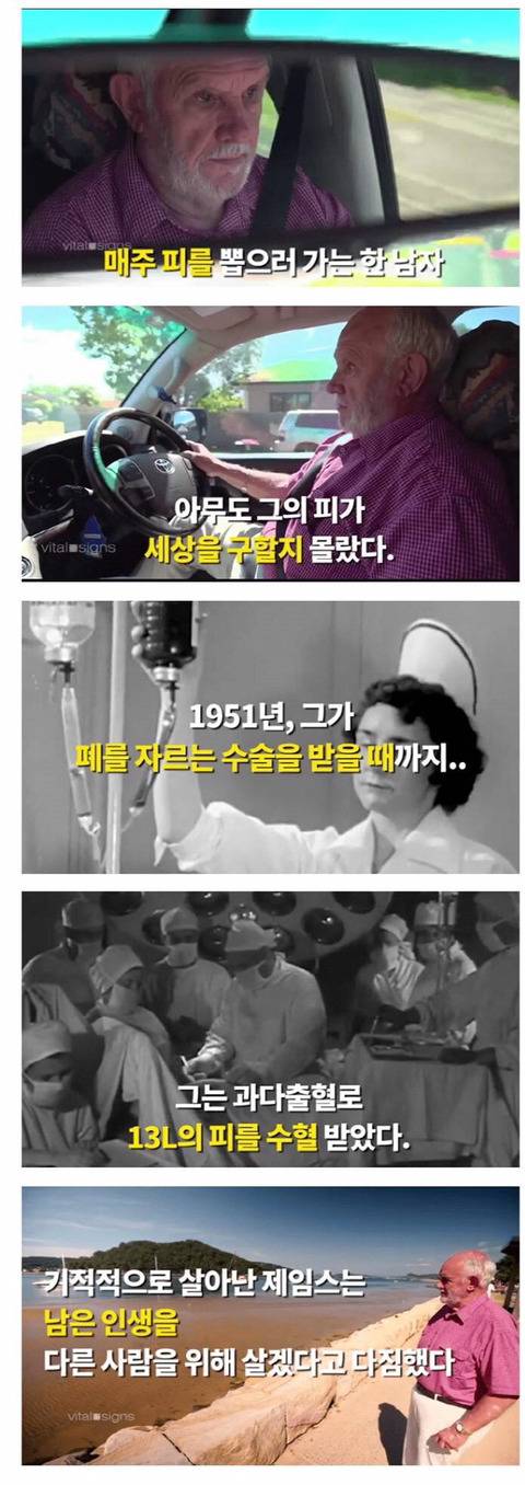 매주 헌혈을 하는 남자 | 인스티즈