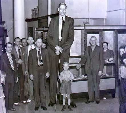 남자중에서 가장 키가 컸던 남자 | 인스티즈