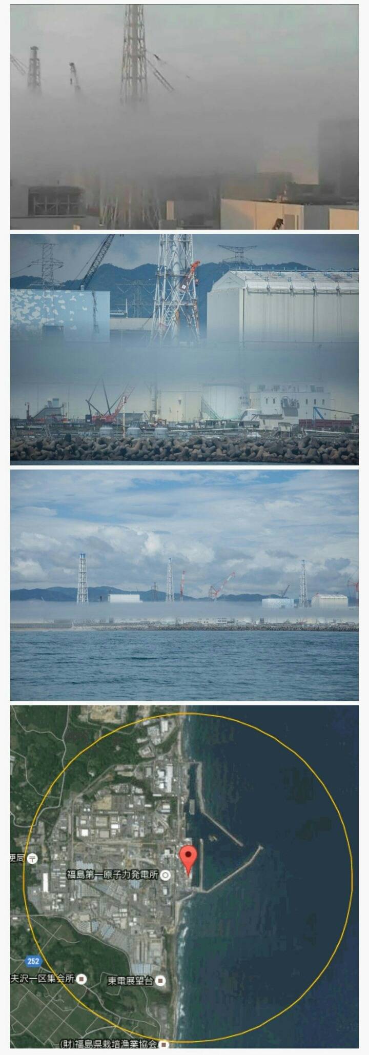 후쿠시마의 이상한 현상 | 인스티즈