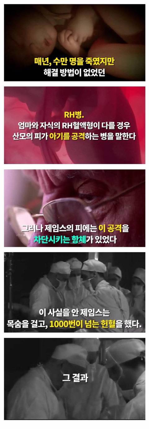 매주 헌혈을 하는 남자 | 인스티즈
