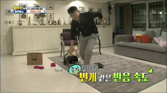 이범수가 동물을 대하는 방식.jpg | 인스티즈