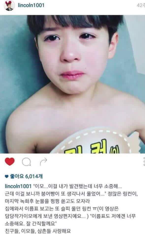 마음이 너무 예쁜 링컨이 | 인스티즈