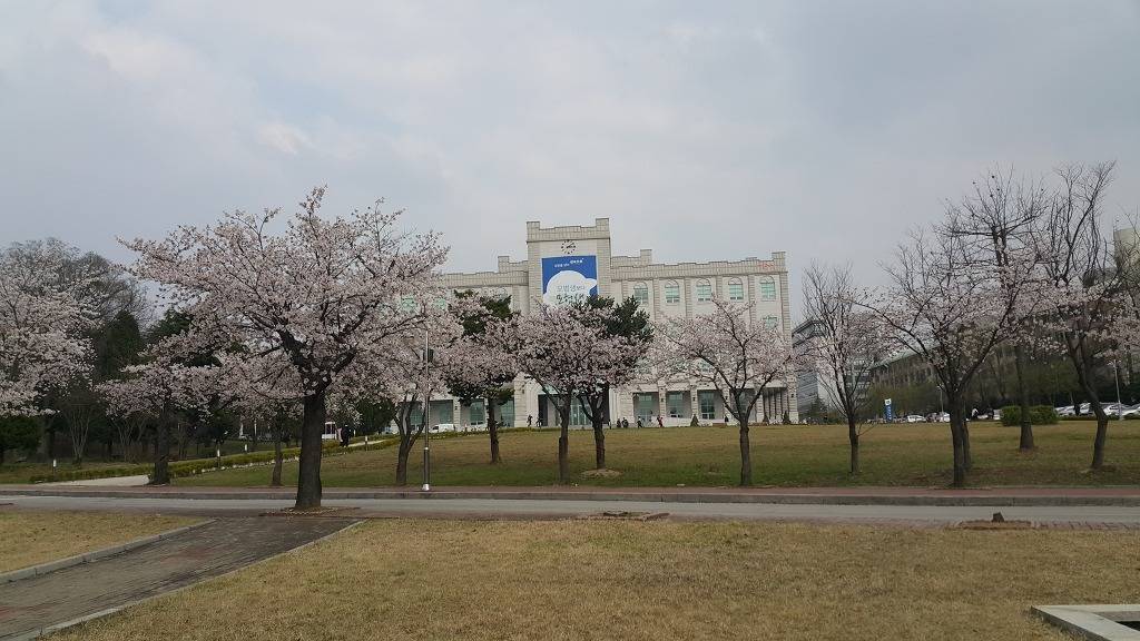 전북대학교 중앙도서관.JPG | 인스티즈